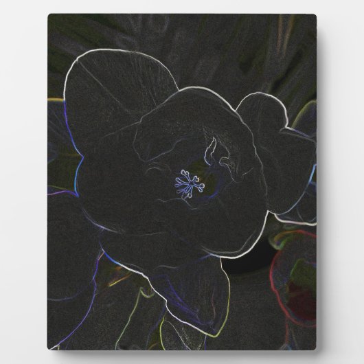 Plaque Photo fleurs de freesia en contour (Devant)
