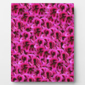 Plaque Photo Fleurs De Géranium Magenta Chaud, (Devant)