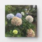 Plaque Photo Fleurs de jardin (Devant)