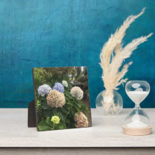 Plaque Photo Fleurs de jardin