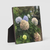 Plaque Photo Fleurs de jardin (Recto)