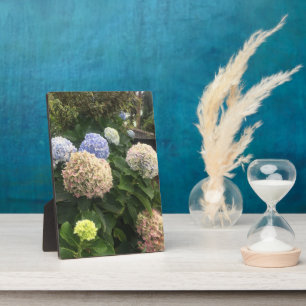 Plaque Photo Fleurs de jardin
