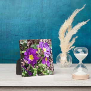 Plaque Photo Fleurs de jardin pourpres