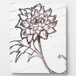 Plaque Photo fleurs de roses blanches