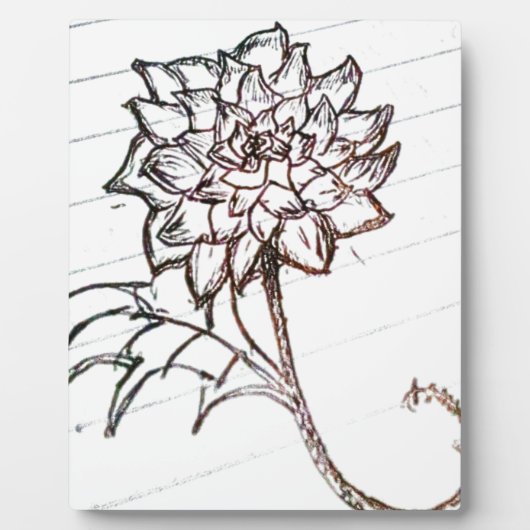 Plaque Photo fleurs de roses blanches (Devant)