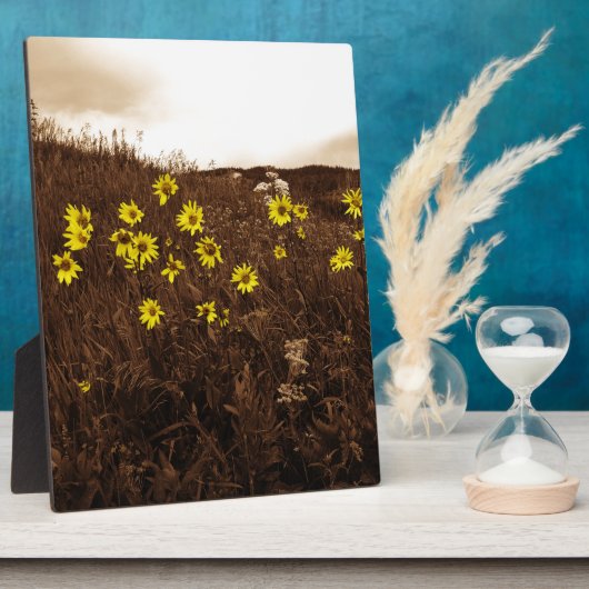 Plaque Photo Fleurs de soleil (Côté)