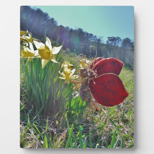 Plaque Photo Fleurs et fleurs jaunes (Devant)