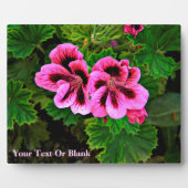 Plaque Photo Fleurs roses 1 (Devant)