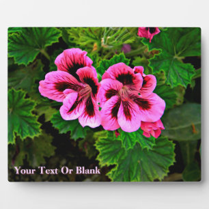 Plaque Photo Fleurs roses 1