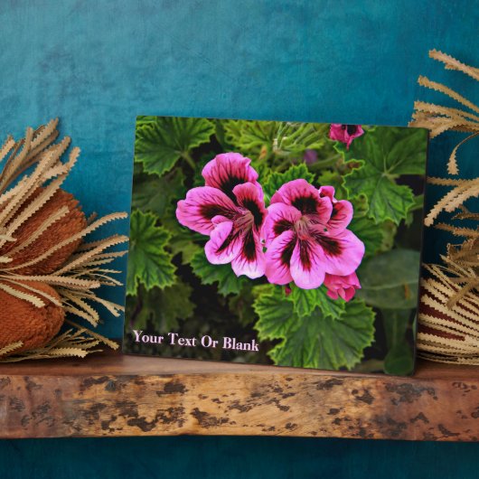 Plaque Photo Fleurs roses 1 (Côté)