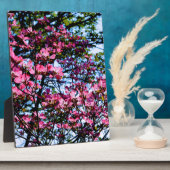 Plaque Photo Fleurs roses élégantes fleuris de bois de chien (Côté)