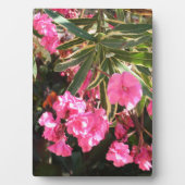 Plaque Photo Fleurs roses sur l'arbre (Devant)