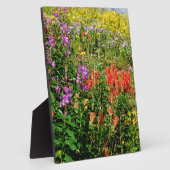 Plaque Photo Fleurs sauvages des Rocheuses (Côté)