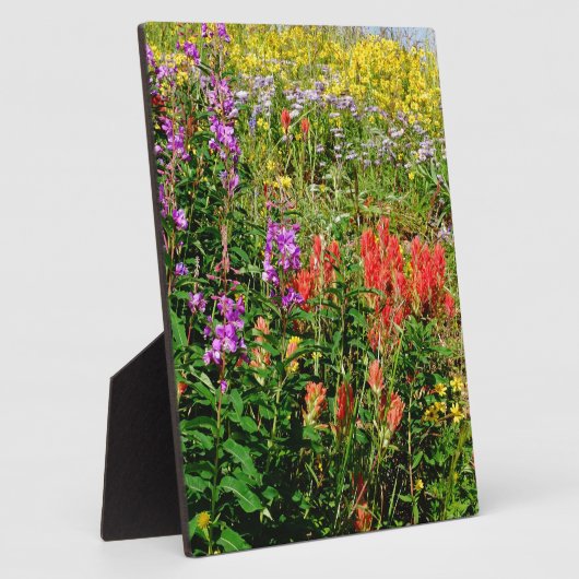 Plaque Photo Fleurs sauvages des Rocheuses (Côté)