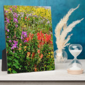 Plaque Photo Fleurs sauvages des Rocheuses (Côté)