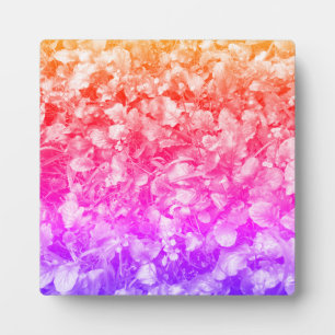 Plaque Photo Fleurs sauvages multicolores