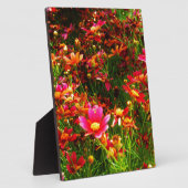 Plaque Photo Fleurs sauvages rose et jaune pâle (Côté)