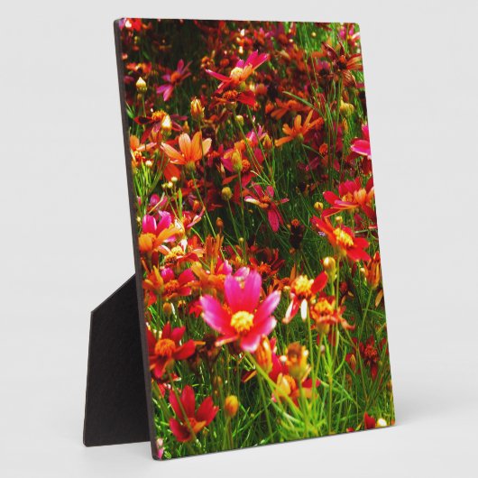 Plaque Photo Fleurs sauvages rose et jaune pâle (Côté)