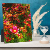 Plaque Photo Fleurs sauvages rose et jaune pâle (Côté)