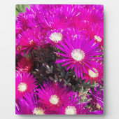Plaque Photo Fleurs violettes (Devant)