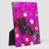 Plaque Photo Fleurs violettes (Côté)