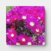 Plaque Photo Fleurs violettes (Devant)