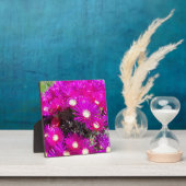 Plaque Photo Fleurs violettes (Insitu)