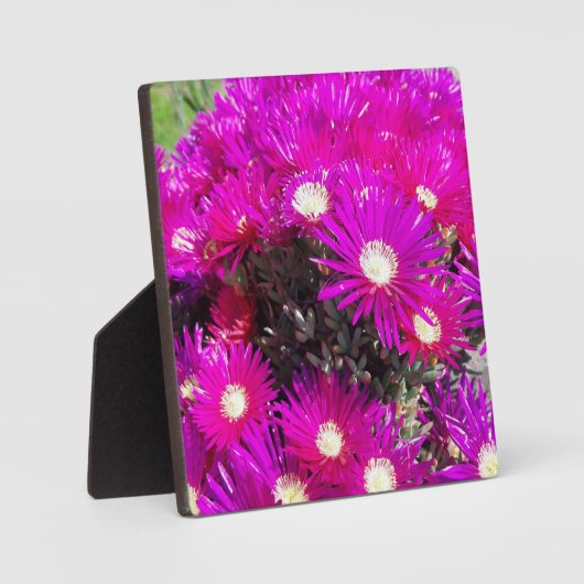 Plaque Photo Fleurs violettes (Recto)