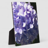 Plaque Photo Fleurs violettes hydrageas violets fleuris pourpre (Côté)