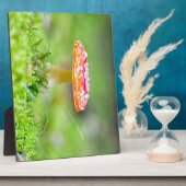 Plaque Photo Fliegenpilz (Côté)