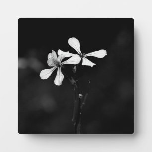 Plaque Photo floral noir et blanc minimal