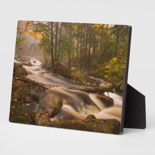 Plaque Photo Flux Flux Sentier Appalachien | Vermont (Côté)