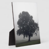 Plaque Photo Foggy Tree (Côté)