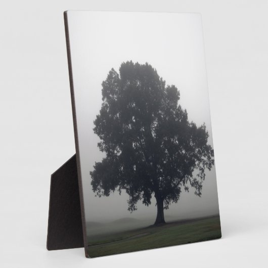 Plaque Photo Foggy Tree (Côté)