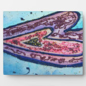 Plaque Photo Foi rose bleu Parties scintillant Coeurs Art Impri (Devant)