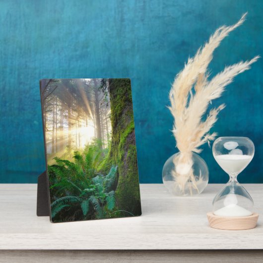 Plaque Photo Forêt côtière du Pacifique, Oregon (Côté)