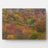 Plaque Photo Forêt de feuillus dans le comté de Randolph, Virgi (Devant)