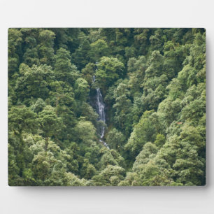 Plaque Photo Forêt de l'Himalaya dans la vallée de Mangdue, Bho