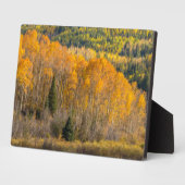 Plaque Photo Forêt nationale de Gunnison (Côté)