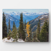 Plaque Photo Forêt nationale de Wenatchee (Devant)