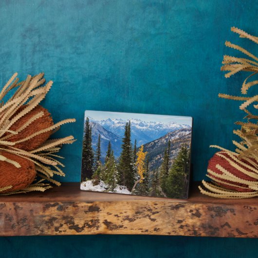 Plaque Photo Forêt nationale de Wenatchee (Côté)