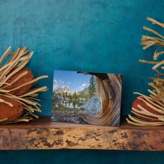 Plaque Photo Forêt nationale d'Inyo, Californie (Côté)