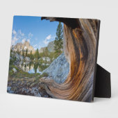 Plaque Photo Forêt nationale d'Inyo, Californie (Côté)