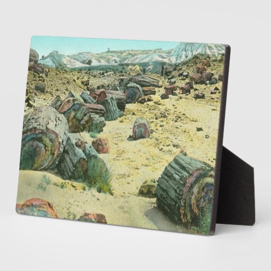 Plaque Photo Forêt pétrifiée (Côté)