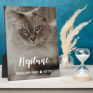 Plaque Photo Forever In Our Hearts Nom dans Script Cat Memorial