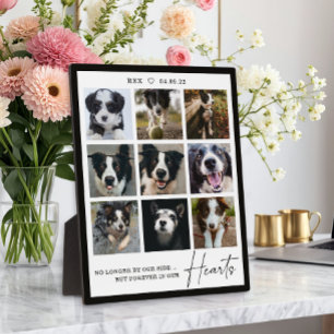Plaque Photo Forever In Our Hearts Pet Memorial Photo Collage