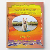 Plaque Photo Forever Loved Pet Memorial 2443 (Devant)