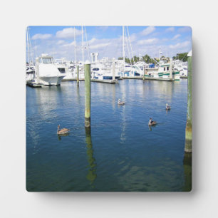 Plaque Photo Fort Lauderdale, Floride