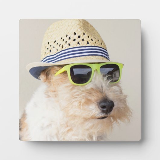 Plaque Photo Fox Terrier (Devant)