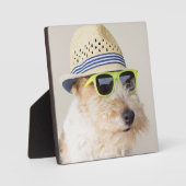 Plaque Photo Fox Terrier (Recto)